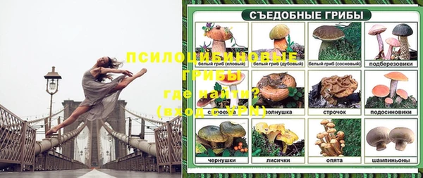 МДПВ Арсеньев