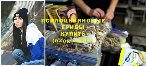 spice Алексин