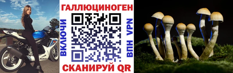 Галлюциногенные грибы Cubensis  что такое   MEGA ONION  Свирск 